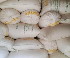 Yellow maize for sale