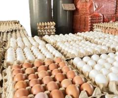 farm fresh eggs